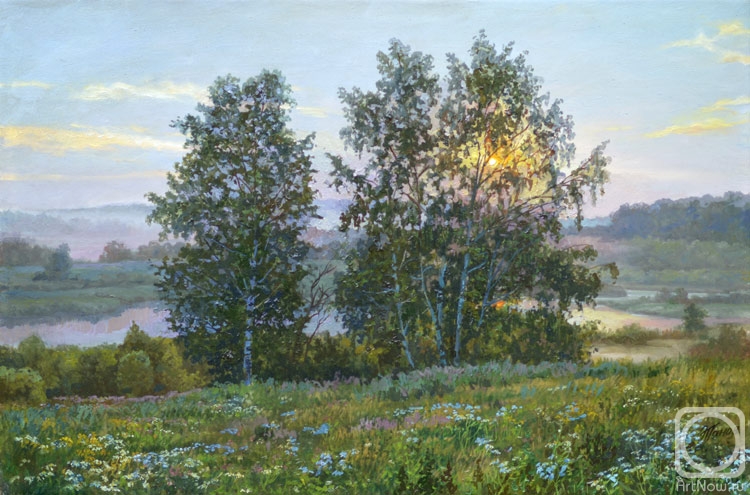 Вечерние березы