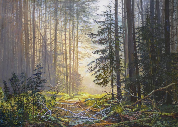 Лесные завалы