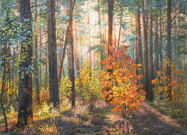Лесное солнце