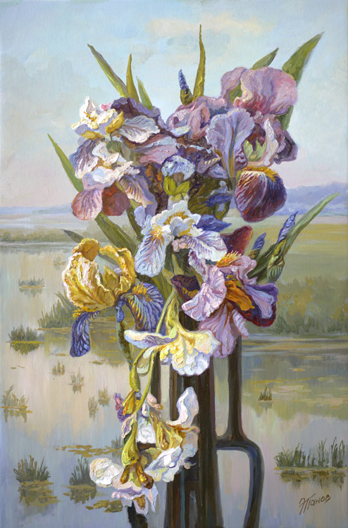Ирисы у воды