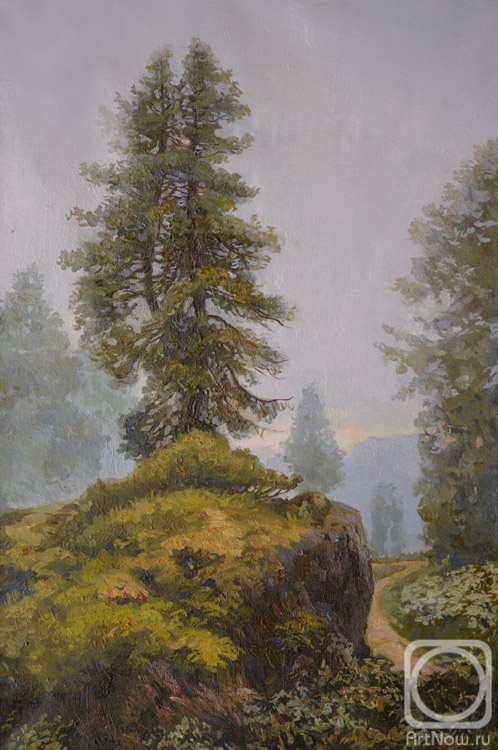 Горная сосна